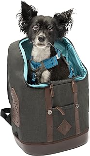 Kurgo - Mochila transportín para perros K9, mochila senderismo para mascotas, mochila aerolíneas, compartimento para portá...